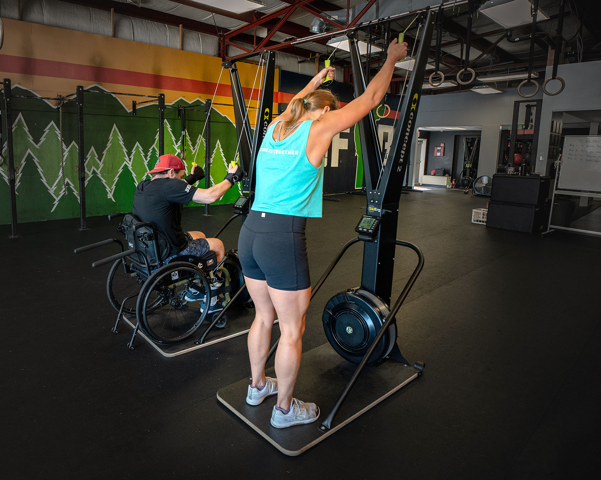 People using SkiErgs. One person is seated, one is standing.