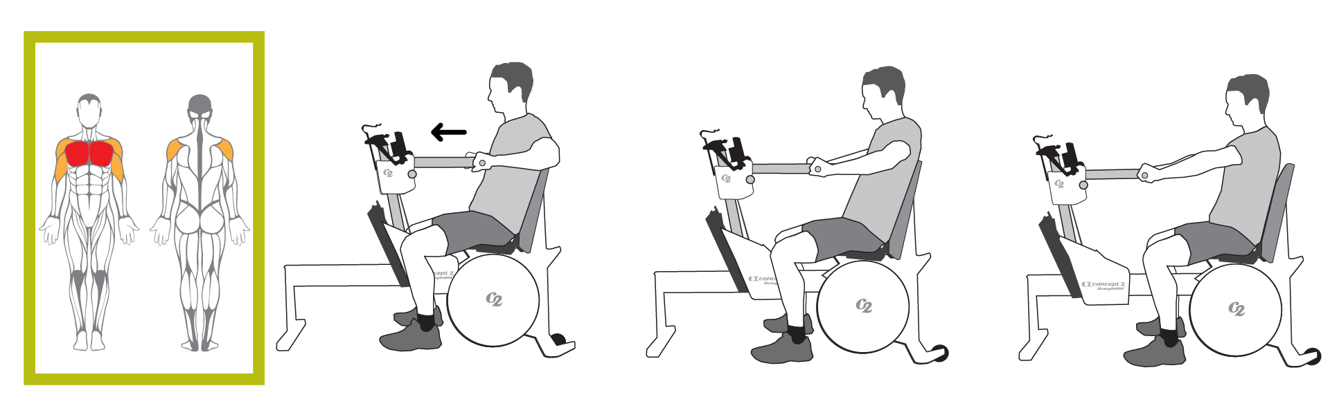 Muscles Used for Chest Press